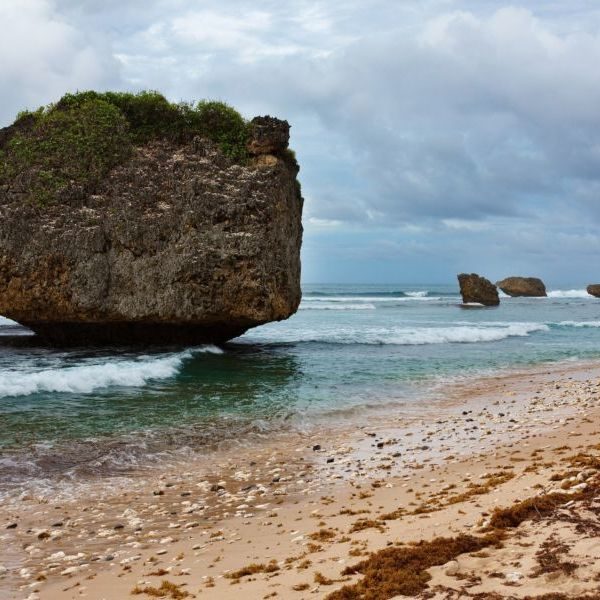 beach in the caribbean