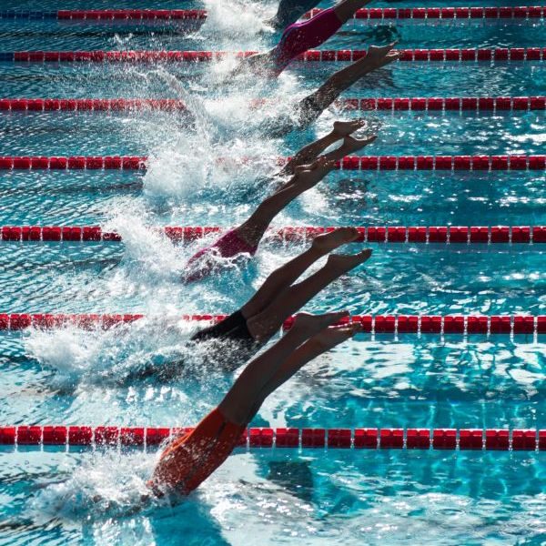 diving into the pool