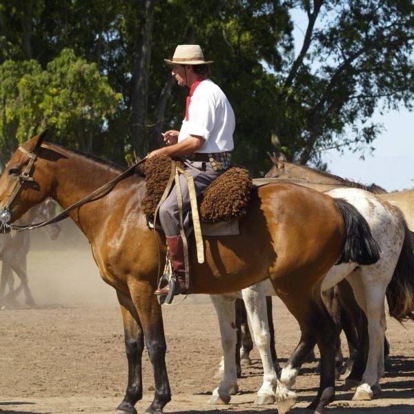 horseback in argentina